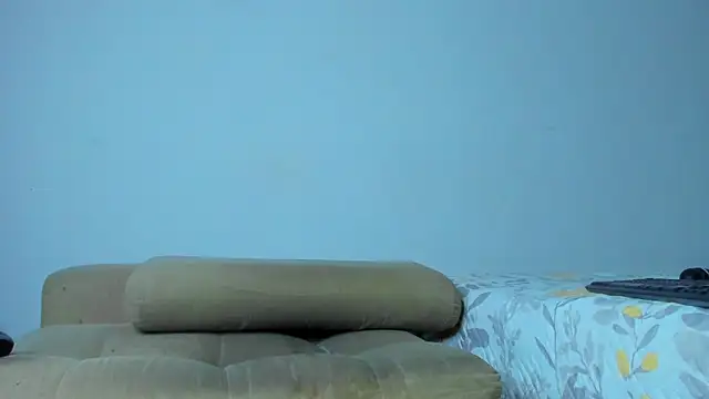ToonyDee webcam