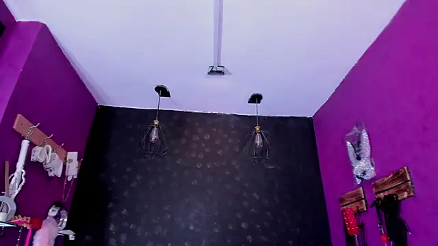 Alexa_Slave webcam