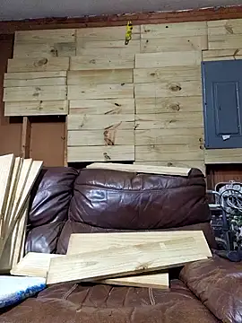 Buffshagswell webcam
