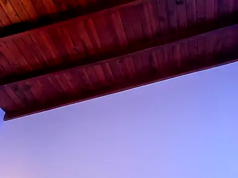 cami_zapata webcam
