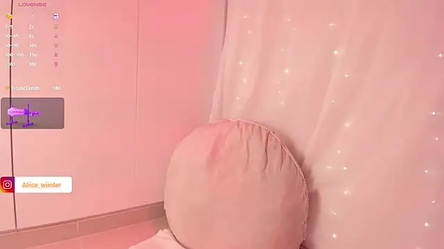 Alice_winter_ webcam