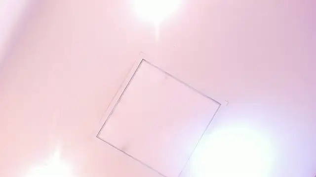 Sofi_Fox_ webcam