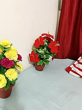 Shanu_Shah