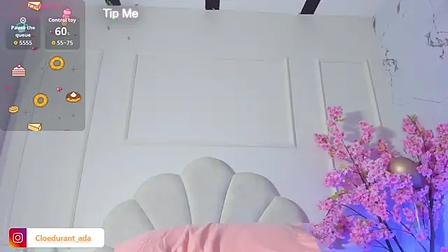 Cloedurant webcam
