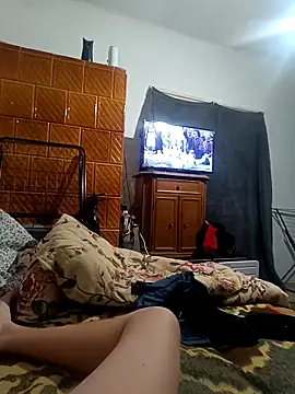 Danimen webcam