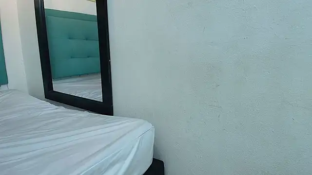 dia_fax18 webcam