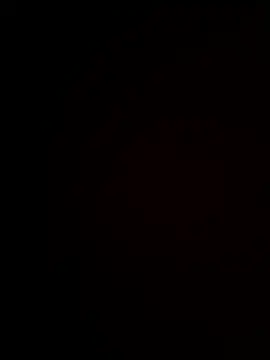 Bubuzinha10 webcam