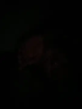 julio_p