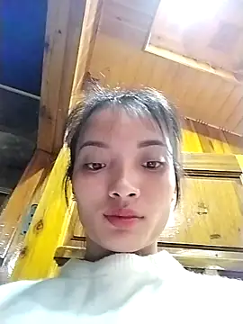 tdtd98 webcam