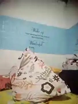 pua16 webcam