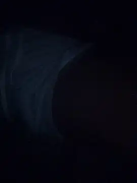 GorillaBBC webcam