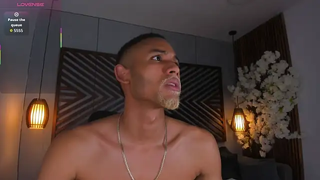 B_Wild webcam