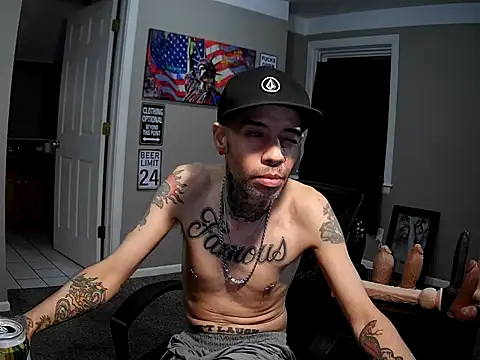 Michigan9000 webcam