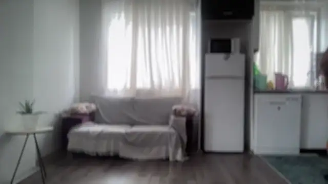 ALPHANDRE webcam