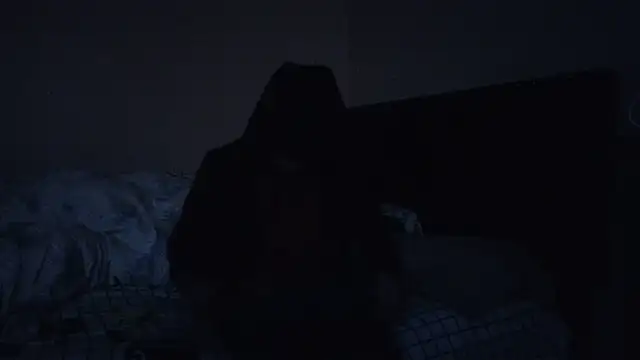 Preview of hailzeffn