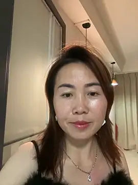 JL-34 webcam