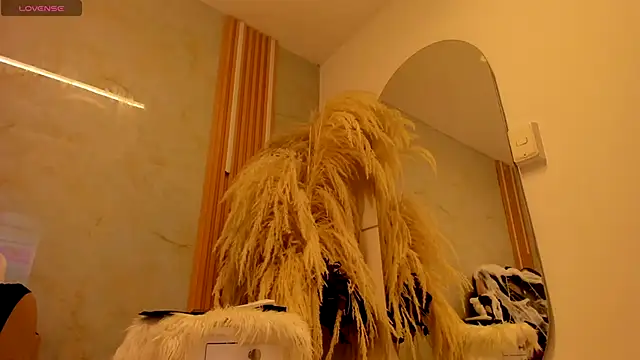lanarios webcam