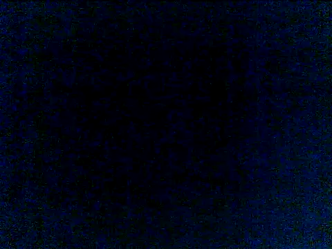damian26pts webcam