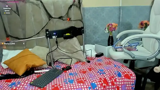 Xavier_Fox___ webcam