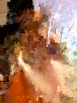 swauvesnap webcam