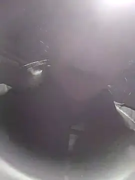Sinejdk3 webcam
