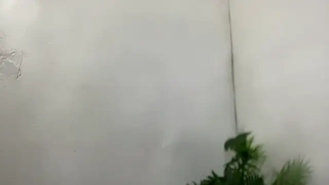 spicy_margaritaxxx webcam
