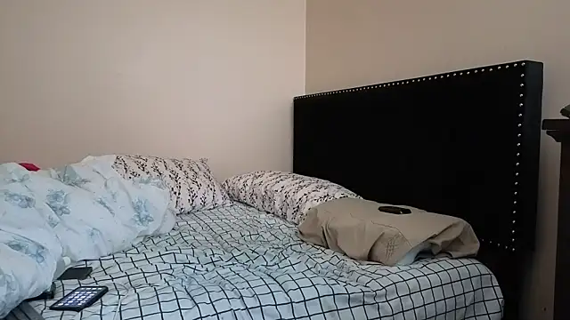 hailzeffn webcam