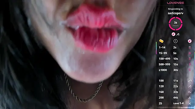 DENISERICHARD2 webcam