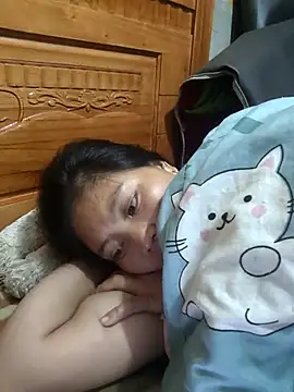 Sus4728 webcam