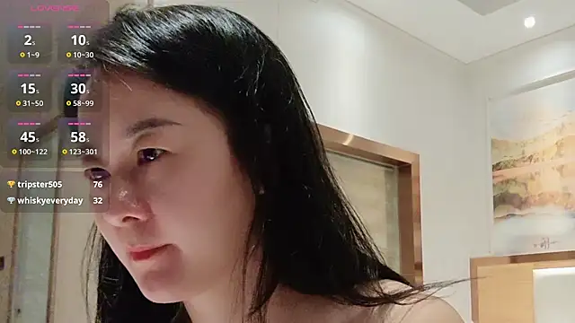 fanfan-FF webcam