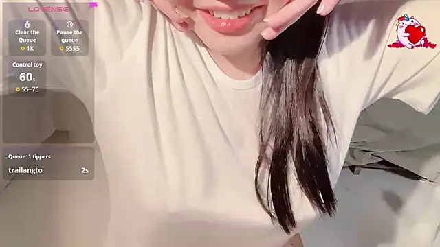 BeChinh_Lee webcam