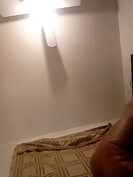 gemini12838 webcam