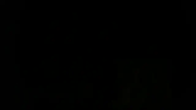 turkishTransEfsun webcam