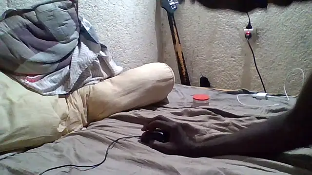 demo2004 webcam