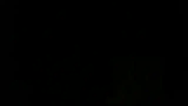 turkishTransEfsun webcam
