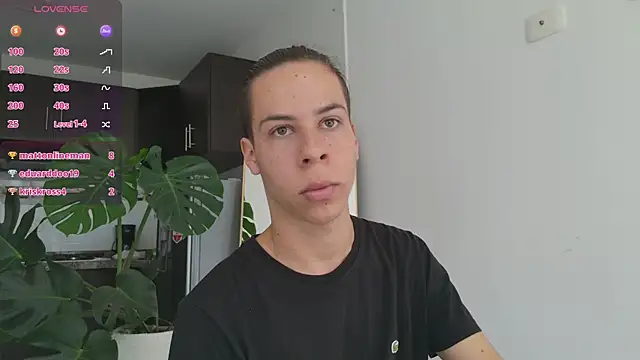 grey___27 webcam