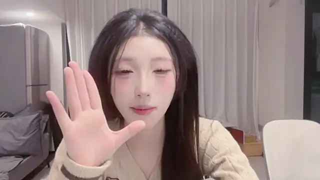 ZhaoZhao-ZM webcam