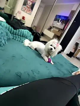 LaraVegas_ webcam