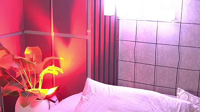 Susan_wall webcam