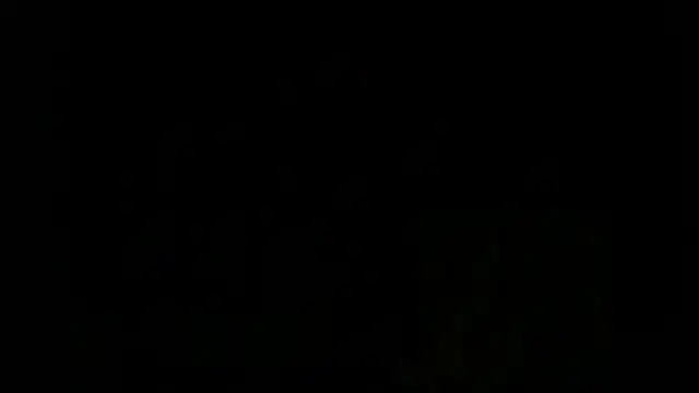 turkishTransEfsun webcam