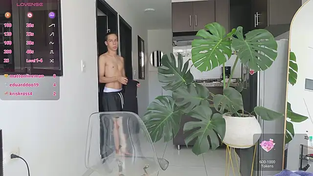 grey___27 webcam
