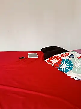 LEIRIS_Y_FRED_01 webcam