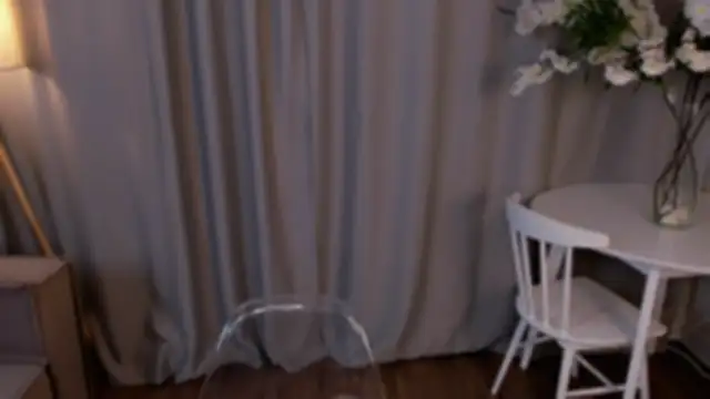 TerrySimp webcam