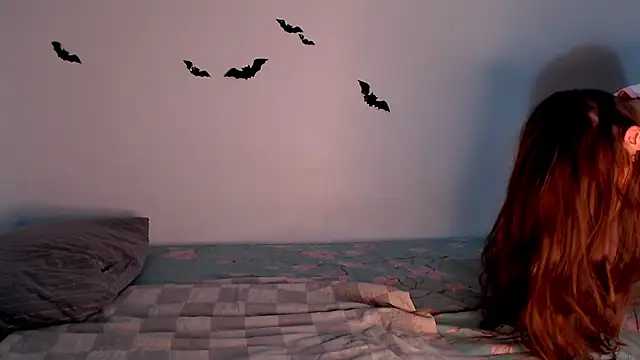 litle_owl webcam