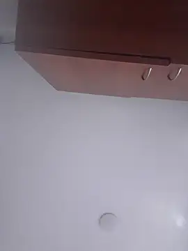 AronMode webcam