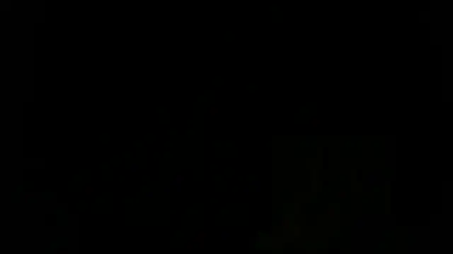 turkishTransEfsun webcam