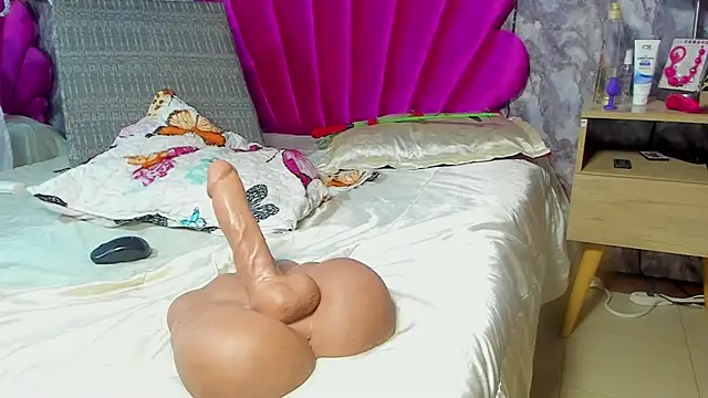 EMMAPARISS webcam