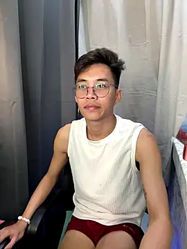 Prince-Harrison webcam