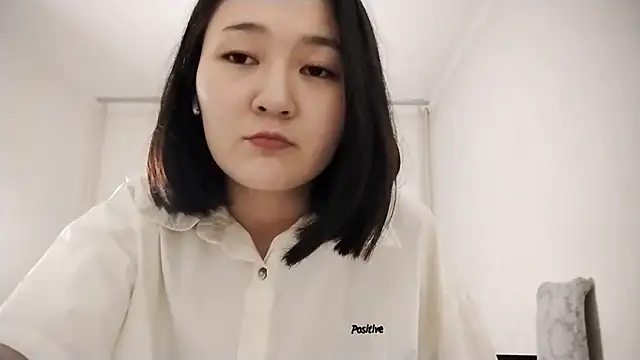 Lyndasilk webcam