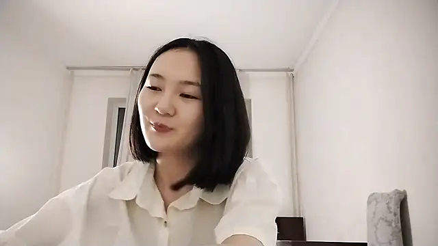 Lyndasilk webcam